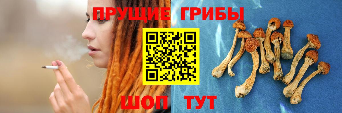 Галлюциногенные грибы Magic Shrooms Каменск-Уральский